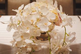 Radiant Decor - 19