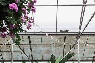 Buchwalter Greenhouse - 32