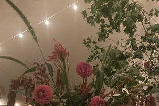 Diadem Flower Co. - 6