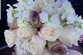 Marah Cole Designs - 23