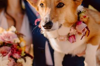 Maddie Kay Photography - 43