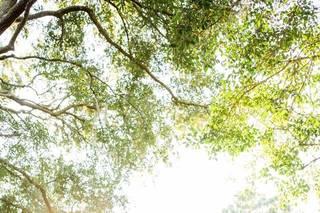 Alyssa Peet Photography - 7