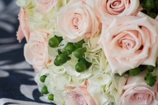 La Bella Rose - 27