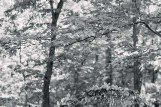 Andrea Cable Photography - 35