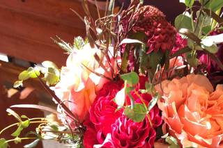 Fleur de lis Florist - 47