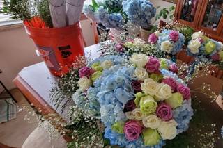 Global Rose 5