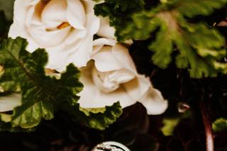 Roots of Joy Botanicals - 14