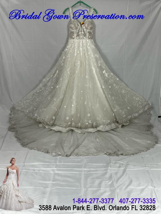 Bridal Gown Preservation - 1