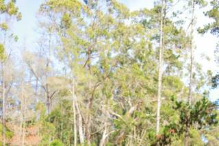 Urban Bay Photography - 19