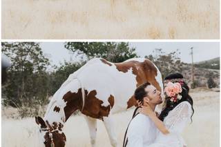 Chrissy Gilmartin Photography - 53