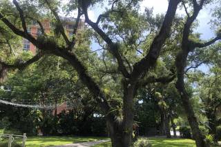 Woman's Club of Coconut Grove presented by Coconut Grove Events - 29