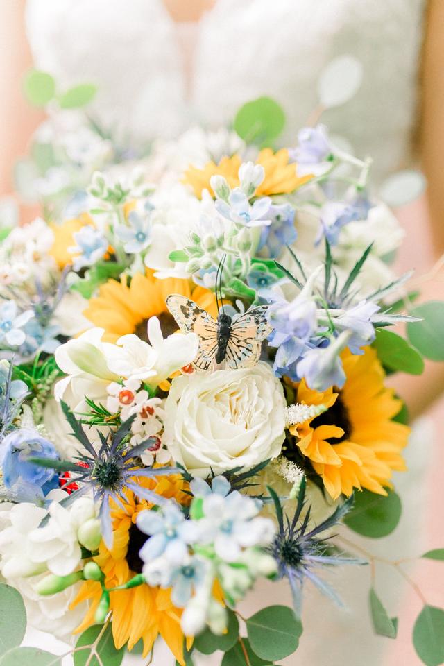 Angela Weiler Photography - 3