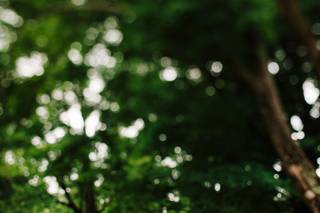 GAUPERphoto - 16