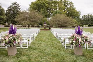 Terry Kaye Events - 25