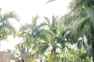 Brittany Bekas Photography - 16