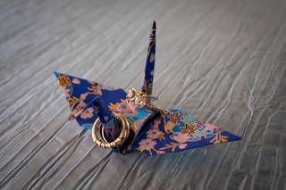 Evan Robold Photography - 43