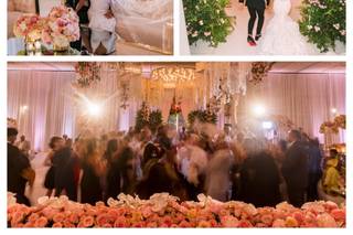 Spynfo & Mr. Matrimony Entertainment - 19