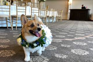 Blooming Brides Florist - 47