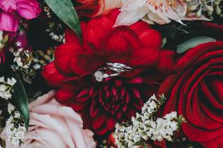 Inspired By Nature - 40