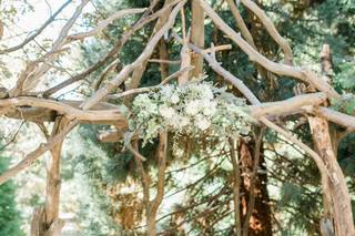 Jasmine Rose Florist - 9