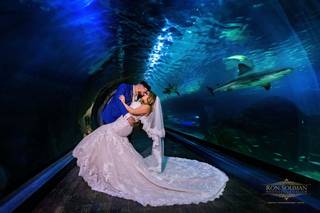 Adventure Aquarium - 35