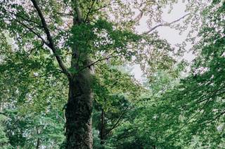 Green Haven - 2
