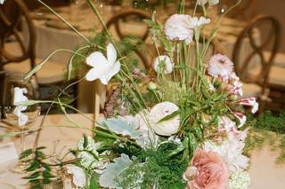 Alyssa Bray Events - 25