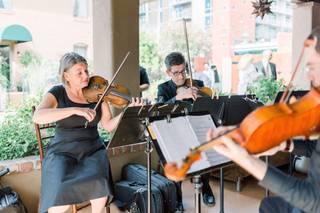 Magnolia Strings - 14