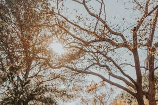 Leigh Anne Brader Photography - 40