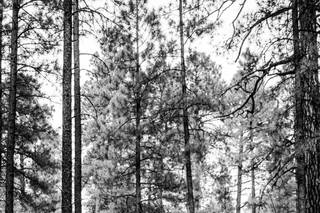 Blue Arrow Photography - 12