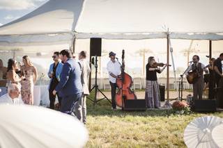 Blue River Grass - 13