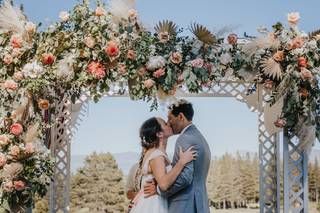 Nichole Collins Photography - 7