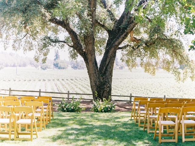 Kristine Herman Photography - 3