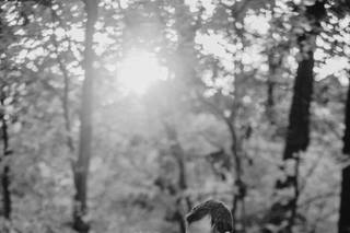 By Veronica Photography - 12