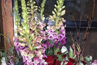 Jodi Iverson Florals - 87