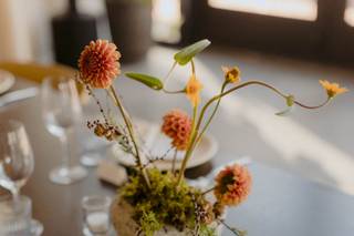 Rule of Thirds - 27