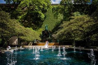 Allison Williams Photography - 17