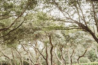 Meagan Gaines Photography - 54