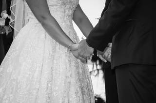 Southern Honeybee Photography - 32