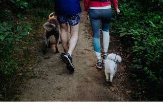 Siri Jones Photography - 21