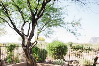 Simply Beautiful Wedding & Event Planning - 94