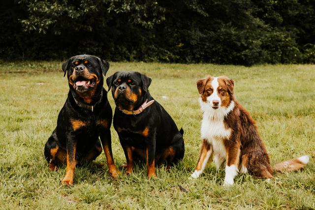 Caroline Gilbody Photography - 3