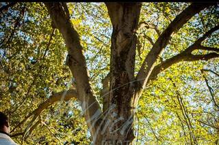 Bev Michel Photography - 3
