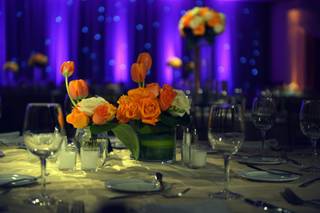 Fine Art Productions - 23