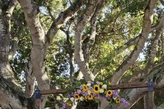 Monterey Bay Wedding Officiants - 34