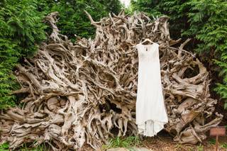 Momentous Image - 30