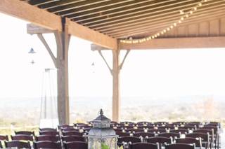 Dove Ridge Vineyard - 55