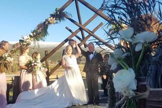 Lavender Elephant - 20