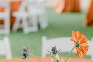 Showcase Events Rentals & Planning - 9