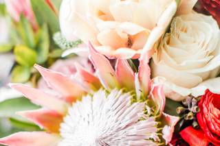 Kate Campbell Floral - 72